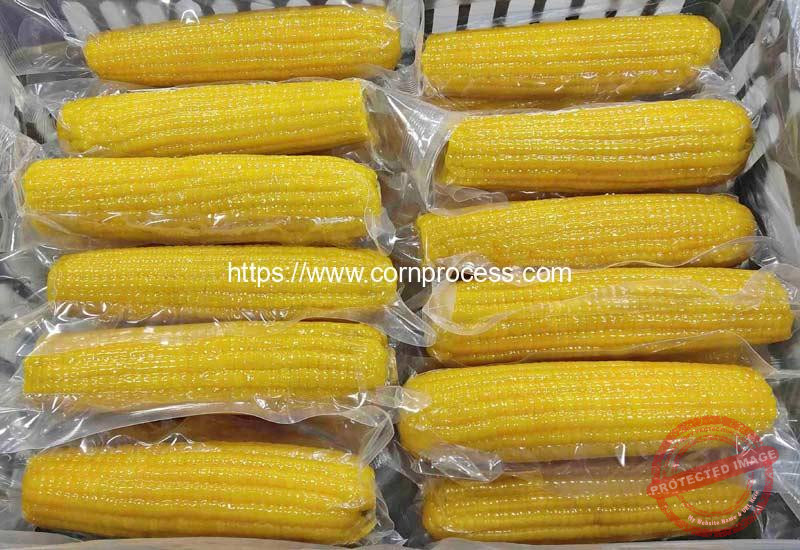 Vacuum-Packed-Corn-Cob-Product